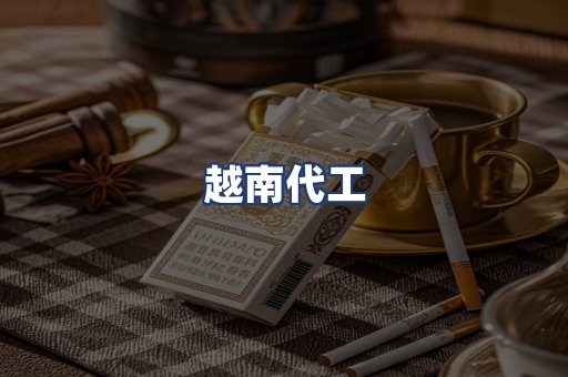 越南代工